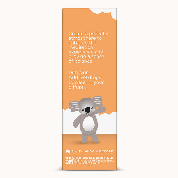 Big Feelings Diffuser Oil 10mL