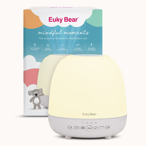 Mindful Moments Meditation Aid