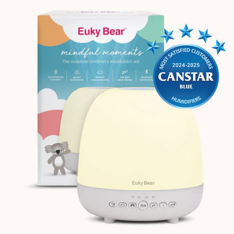 Mindful Moments Meditation Aid